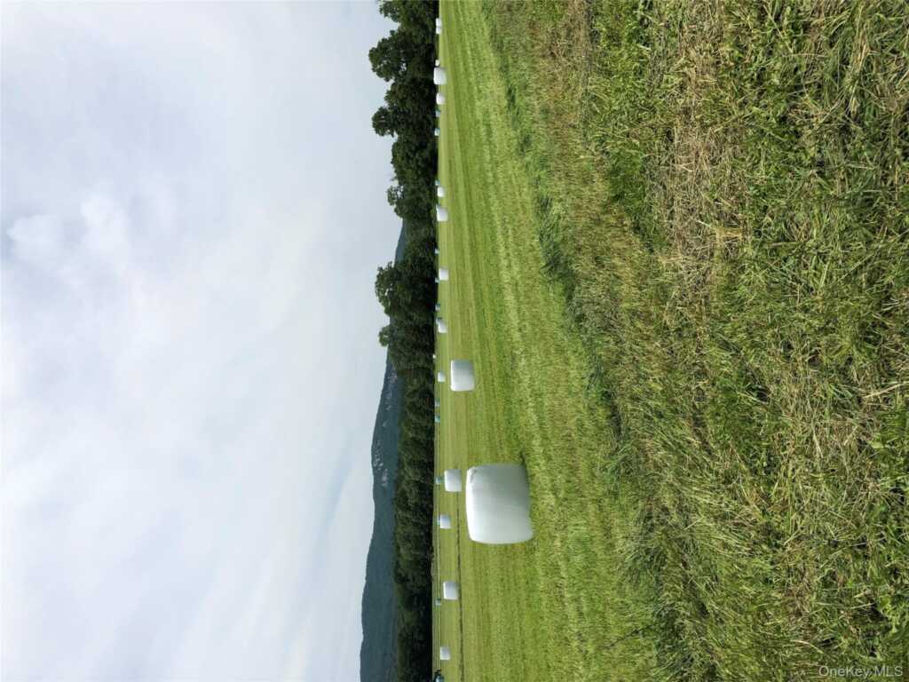 181 Huguenot Street, New Paltz, NY 12561 - Photo 26 of 40