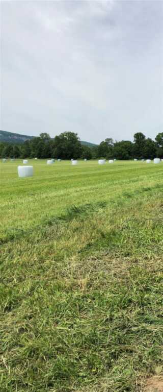 181 Huguenot Street, New Paltz, NY 12561 - Photo 30 of 40