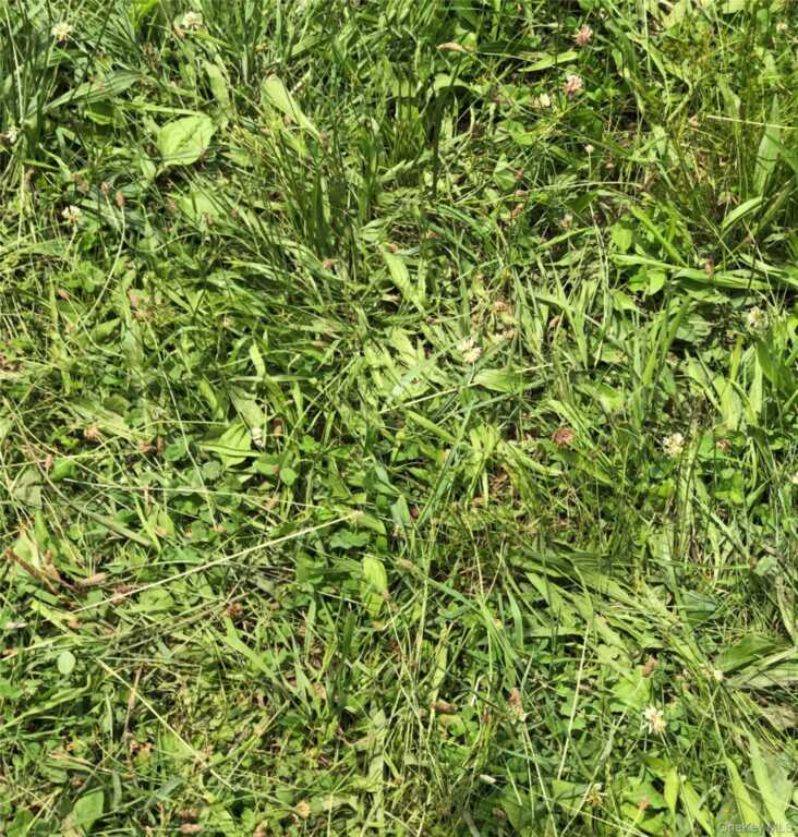 181 Huguenot Street, New Paltz, NY 12561 - Photo 31 of 40