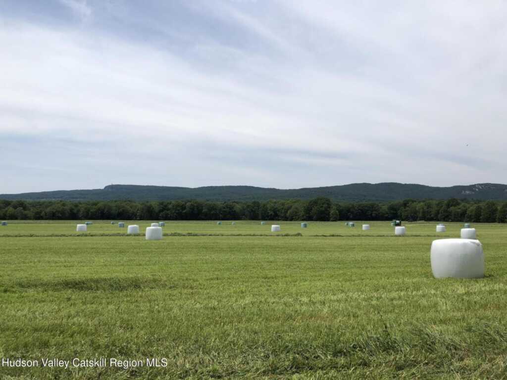 181 Huguenot Street, New Paltz, NY 12561 - Photo 4 of 45