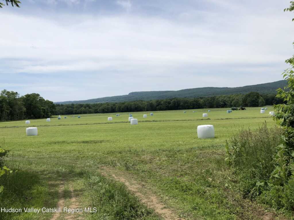 181 Huguenot Street, New Paltz, NY 12561 - Photo 43 of 45