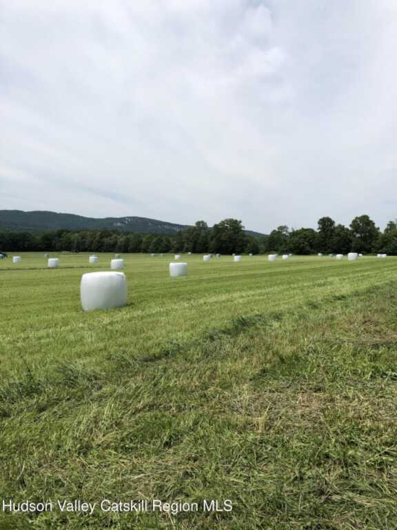 181 Huguenot Street, New Paltz, NY 12561 - Photo 44 of 45