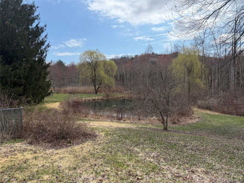 2518 Route 9G, Rhinebeck, NY 12580 - Photo 21 of 24
