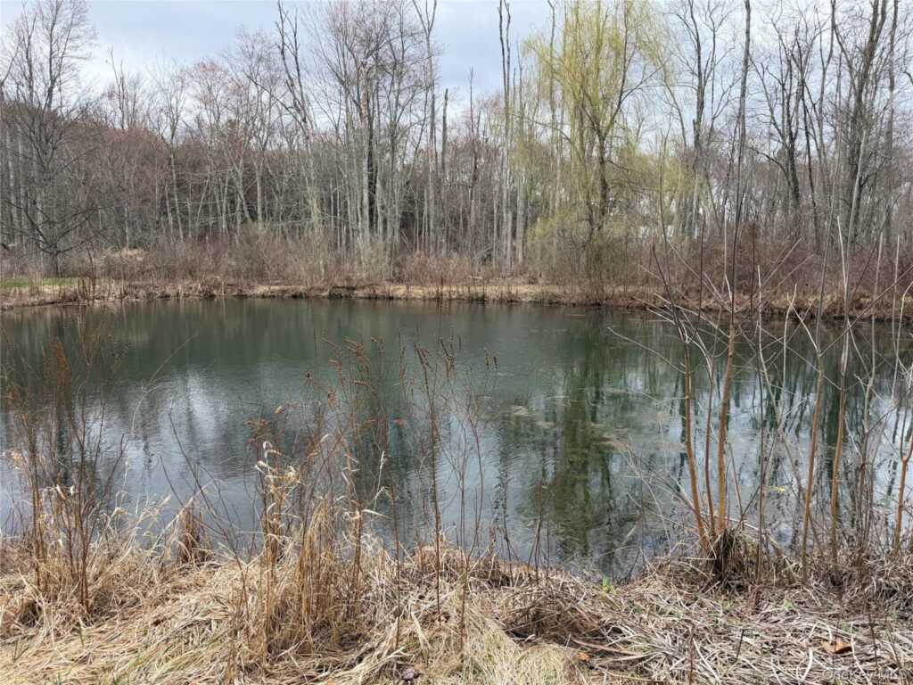 2518 Route 9G, Rhinebeck, NY 12580 - Photo 22 of 24