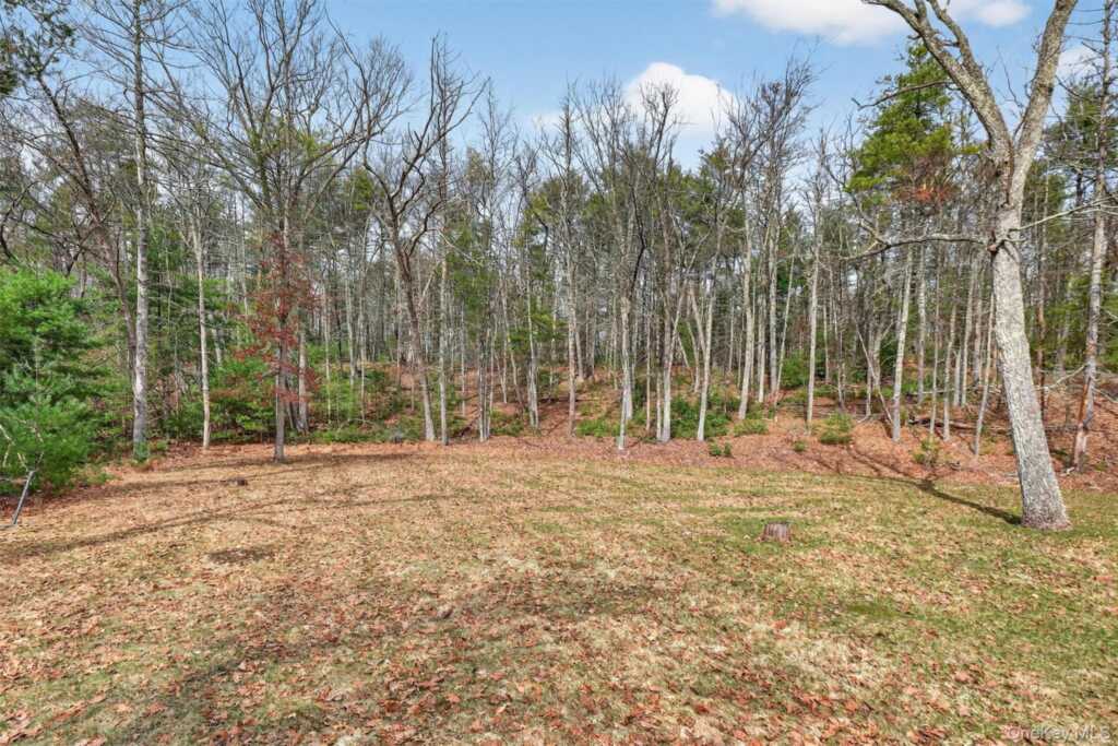 274 Morgan Hill Road, Hurley, NY 12443 - Photo 36 of 39