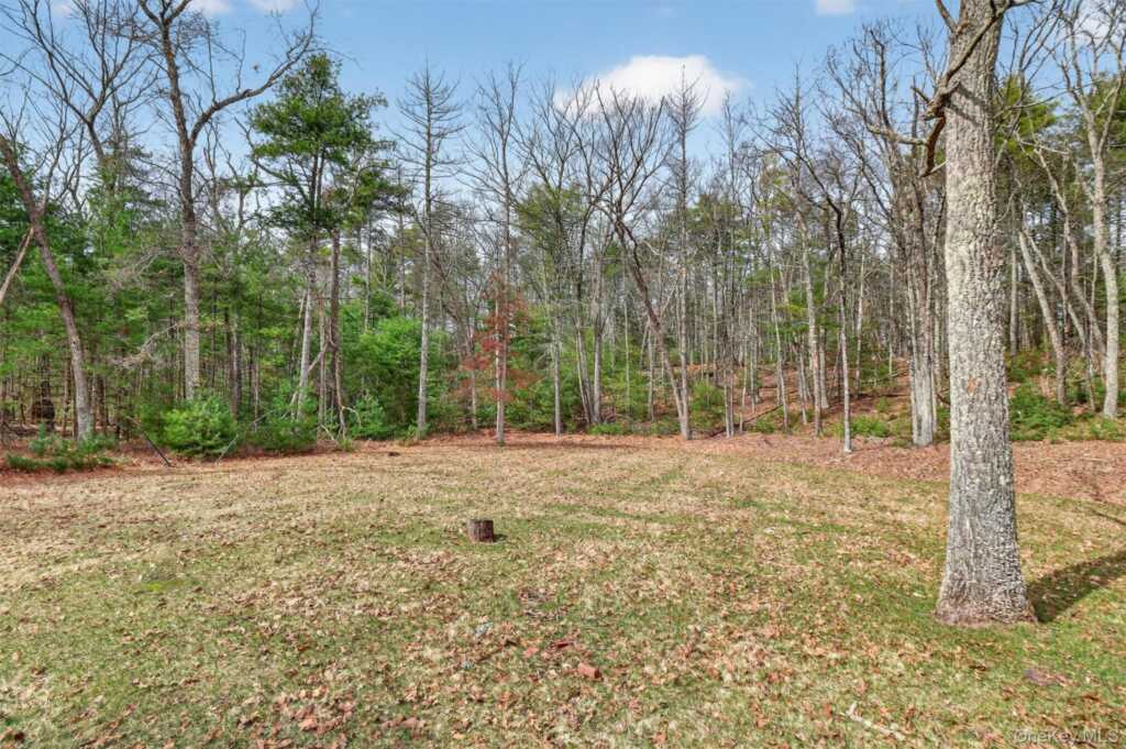 274 Morgan Hill Road, Hurley, NY 12443 - Photo 37 of 39