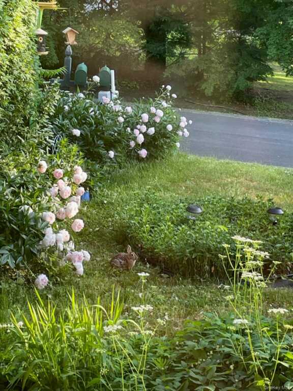 12 Anita Court, Kingston, NY 12401 - Photo 27 of 50