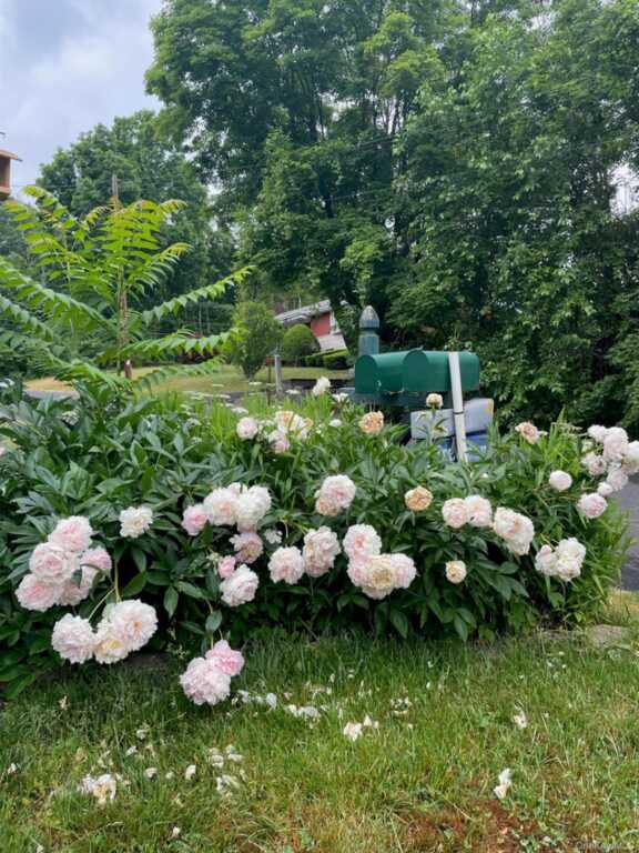 12 Anita Court, Kingston, NY 12401 - Photo 28 of 50