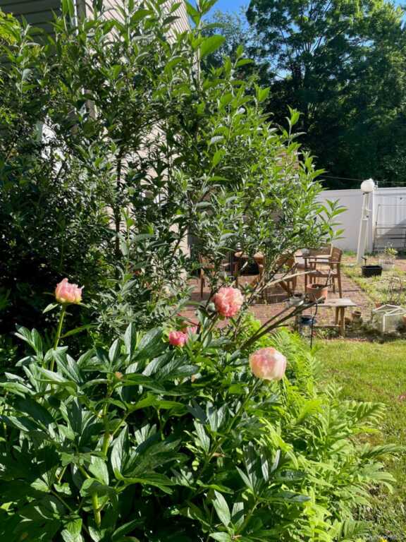 12 Anita Court, Kingston, NY 12401 - Photo 29 of 50