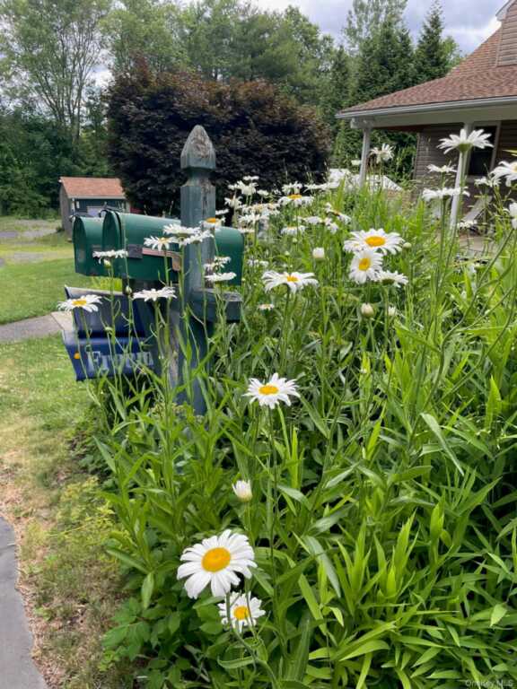 12 Anita Court, Kingston, NY 12401 - Photo 31 of 50