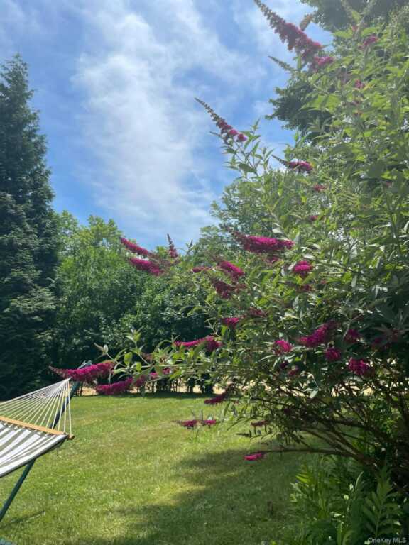 12 Anita Court, Kingston, NY 12401 - Photo 33 of 50