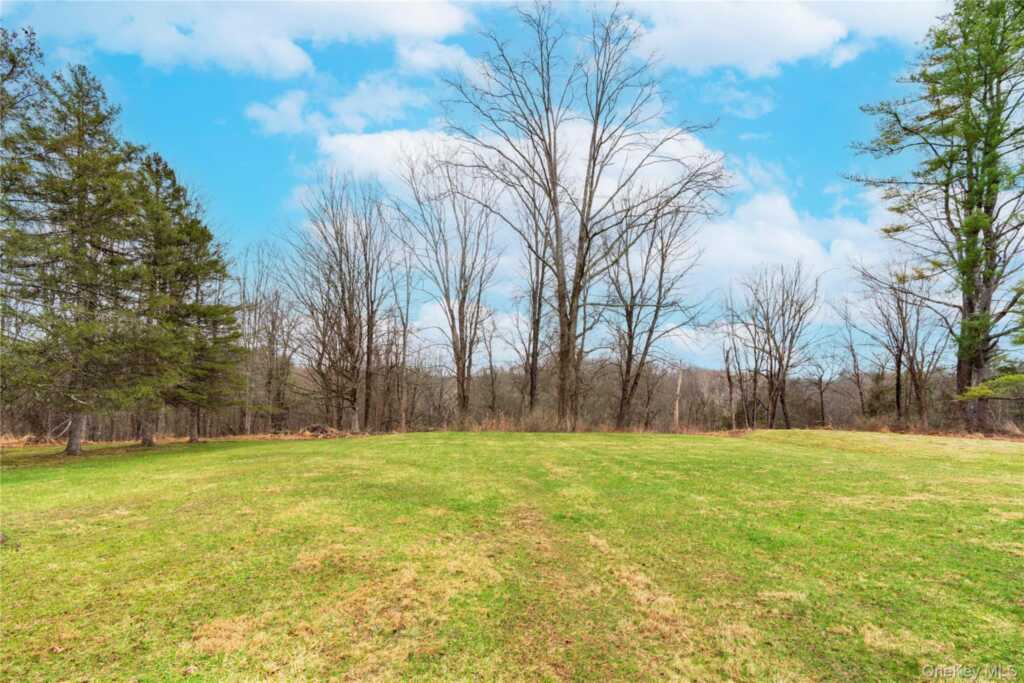 257 Mill Road, Rhinebeck, NY 12572 - Photo 3 of 16