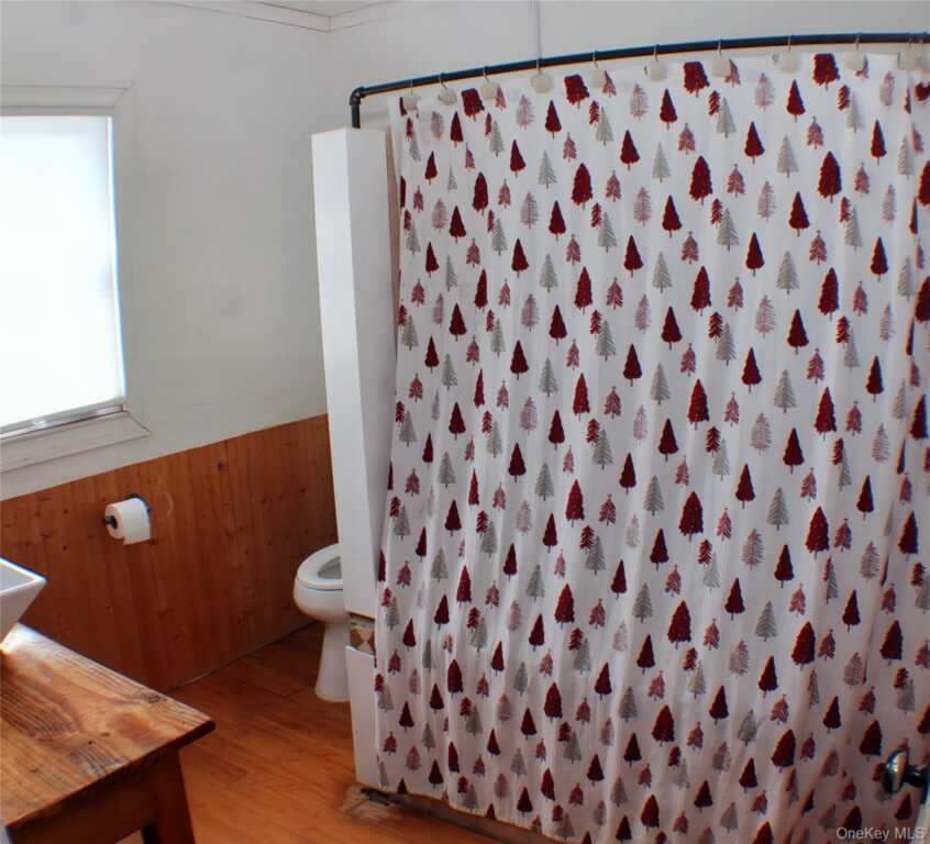 295 Lucas Avenue, Kingston, NY 12401 - Photo 17 of 29