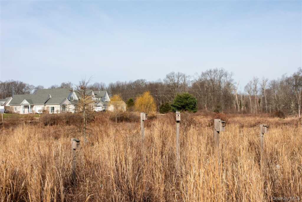 7 Sunflower Place, Rhinebeck, NY 12572 - Photo 3 of 23