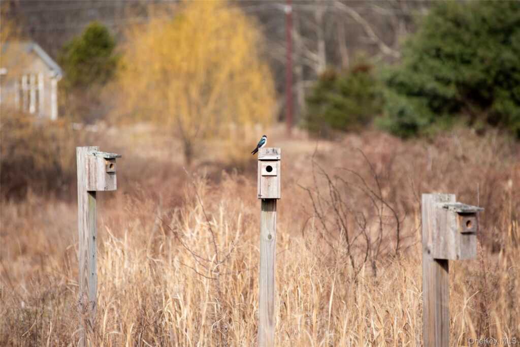7 Sunflower Place, Rhinebeck, NY 12572 - Photo 4 of 23