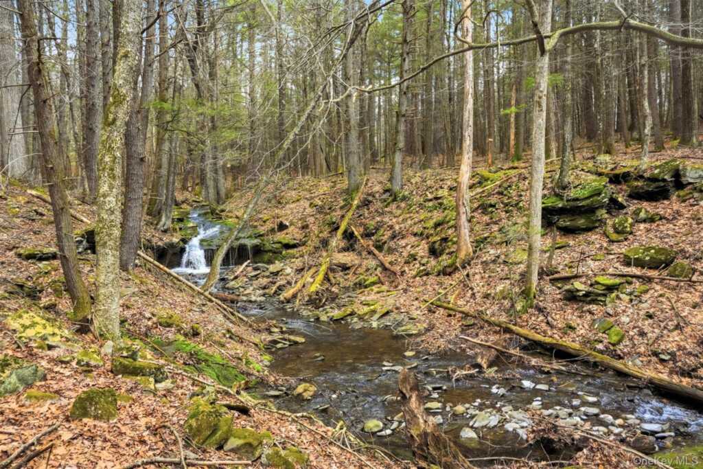 2320 Glasco Turnpike, Woodstock, NY 12498 - Photo 47 of 50