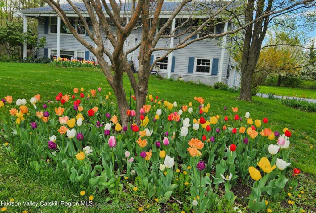 7 Lynn Place, New Paltz, NY 12561 - Photo 43 of 44