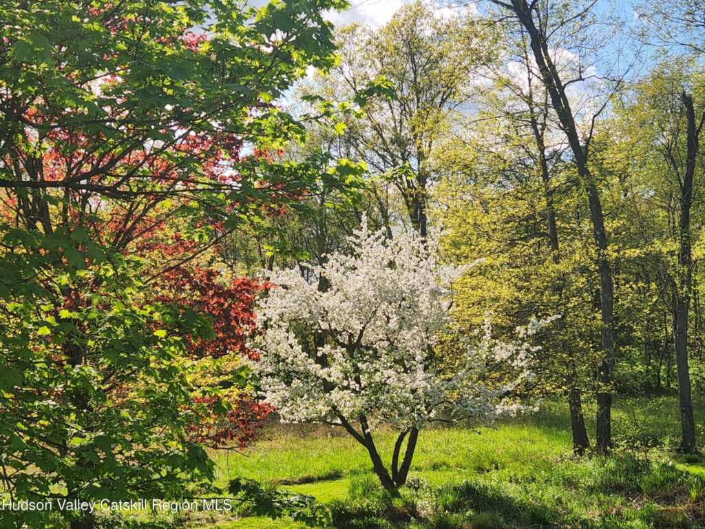 7 Lynn Place, New Paltz, NY 12561 - Photo 44 of 44