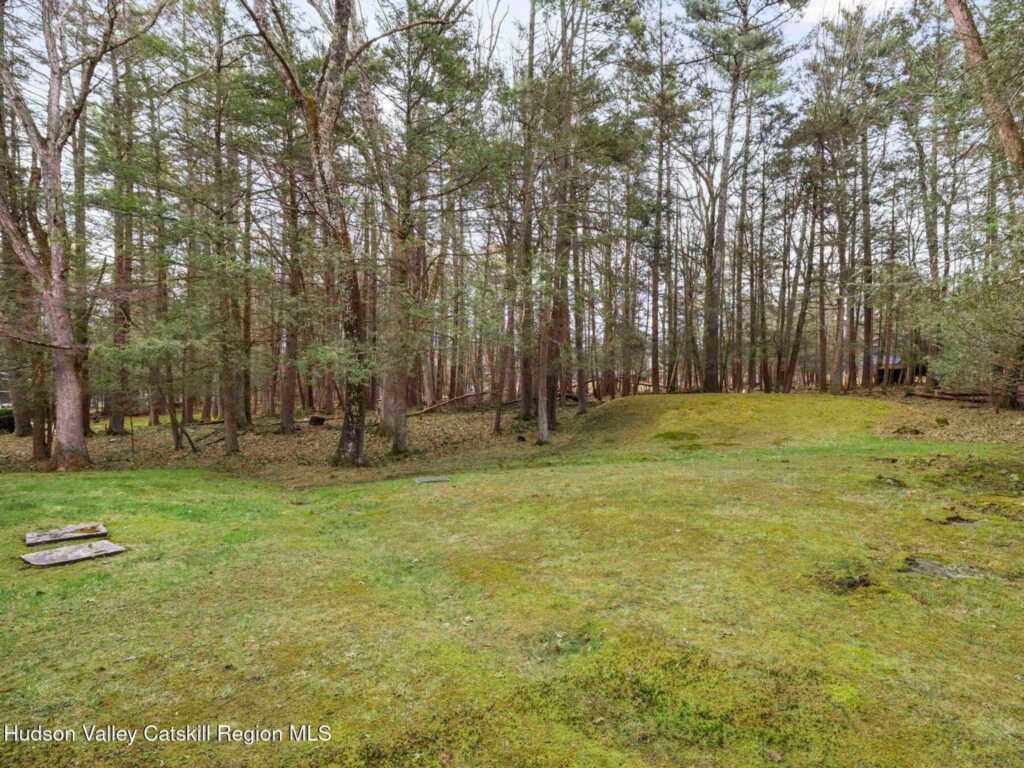 39 Whitney Drive, Woodstock, NY 12498 - Photo 8 of 50