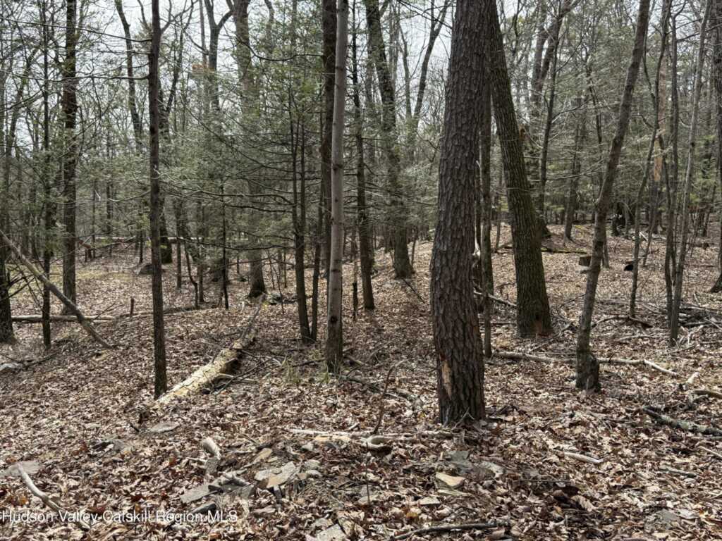 25 Boggs Hill Road, Woodstock, NY 12498 - Photo 33 of 42