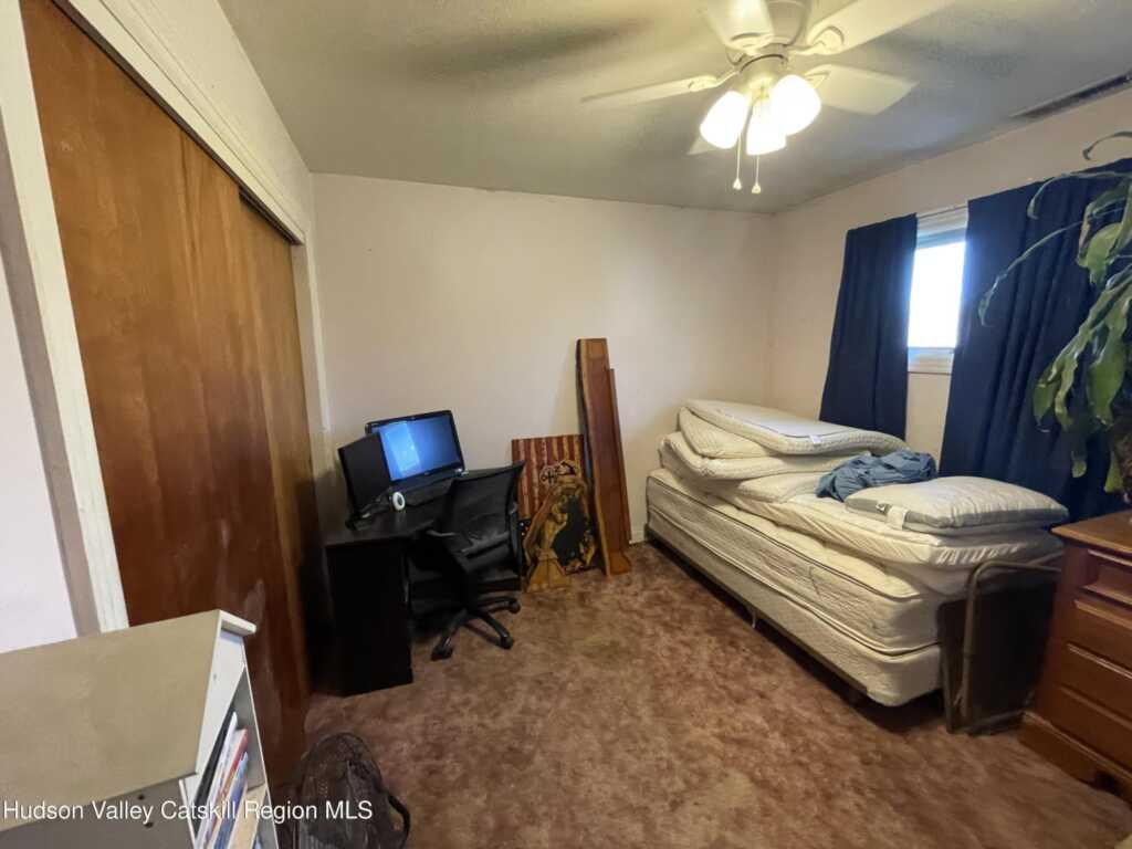 459 Mountain View Avenue, Hurley, NY 12443 - Photo 25 of 29