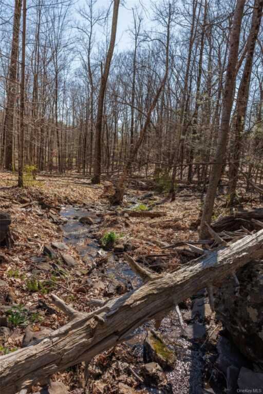 760 Ohayo Mountain Road, Hurley, NY 12433 - Photo 35 of 48