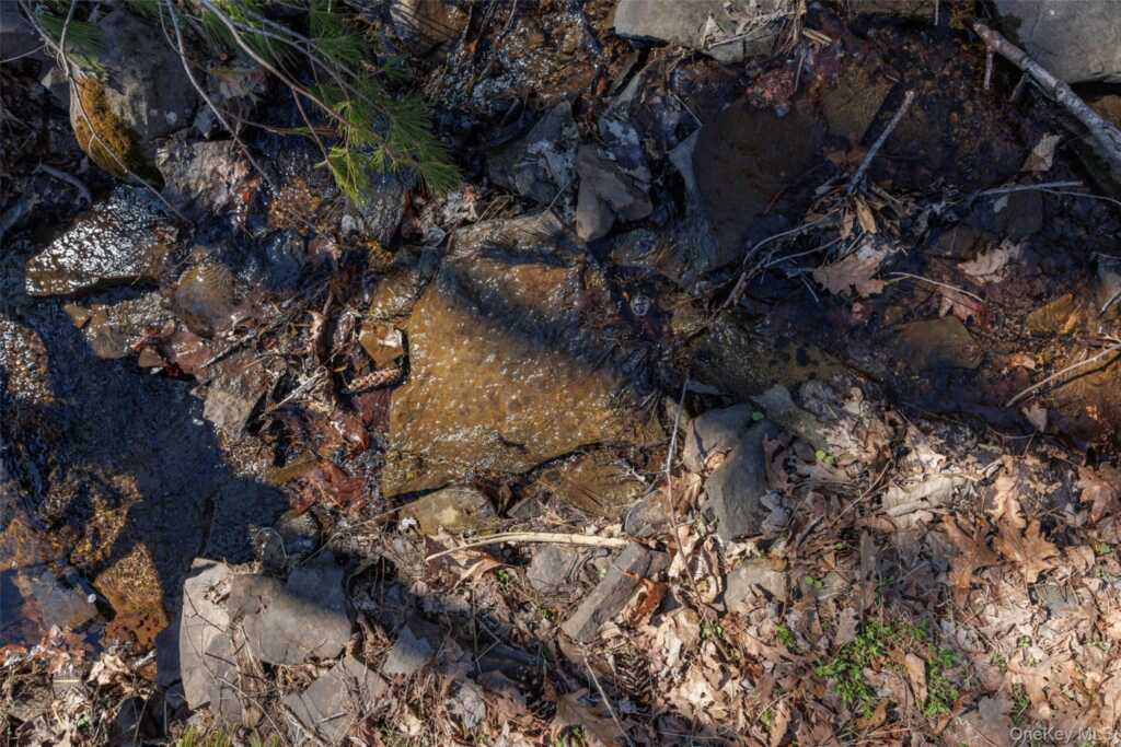 760 Ohayo Mountain Road, Hurley, NY 12433 - Photo 36 of 48