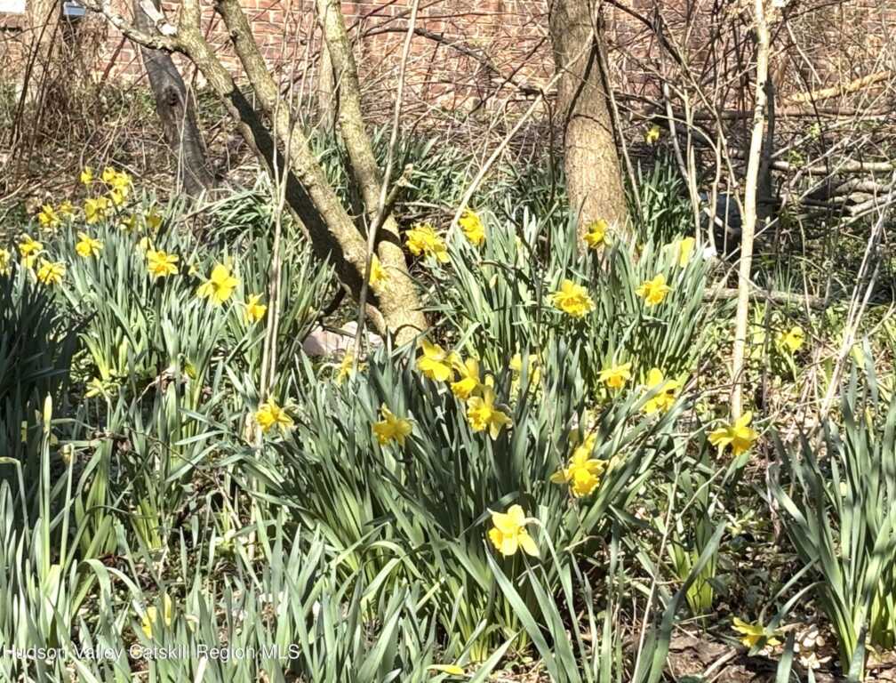 106 Florence Street, Kingston, NY 12401 - Photo 35 of 39