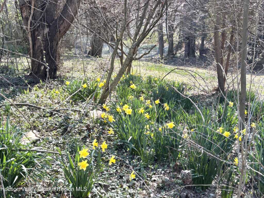 106 Florence Street, Kingston, NY 12401 - Photo 36 of 39