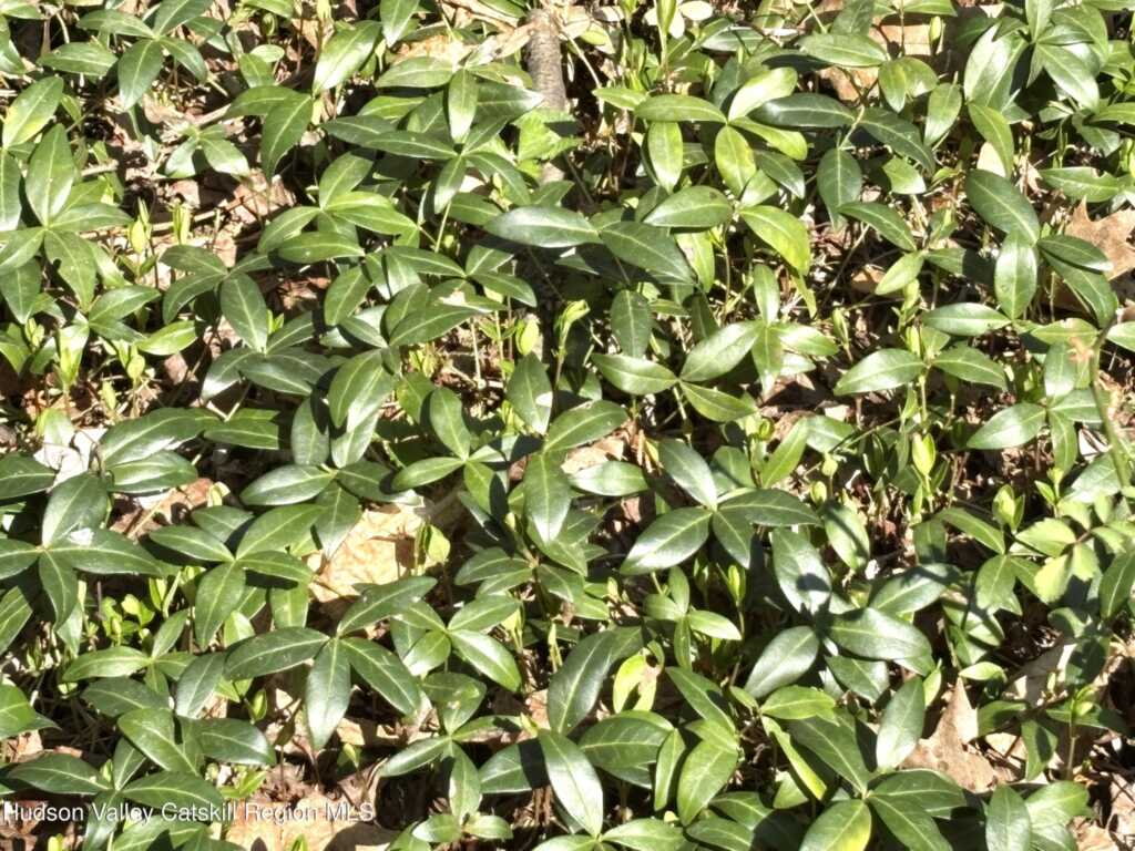 106 Florence Street, Kingston, NY 12401 - Photo 37 of 39