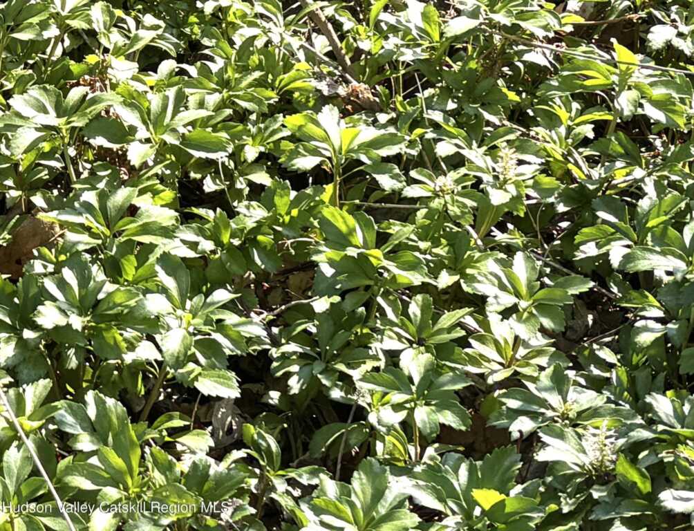 106 Florence Street, Kingston, NY 12401 - Photo 38 of 39