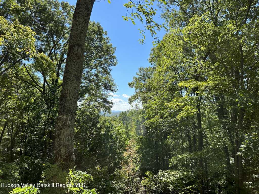 26 Webster Road, Woodstock, NY 12498 - Photo 6 of 45