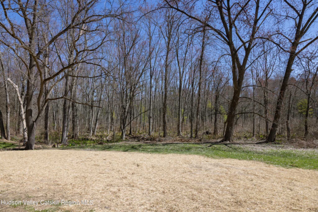 647 Hickory Bush Road, Kingston, NY 12401 - Photo 22 of 24