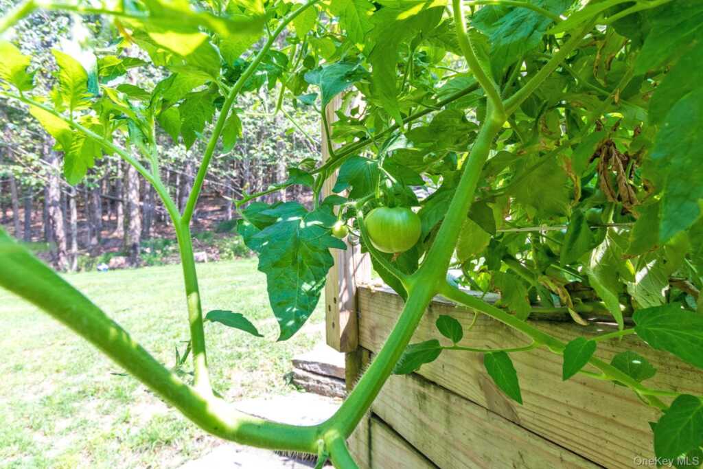 551 Mt Guardian Road, Woodstock, NY 12498 - Photo 37 of 42