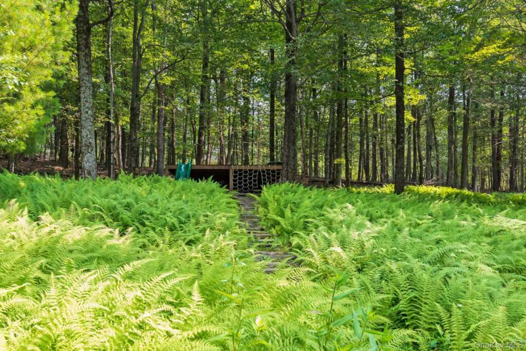 551 Mt Guardian Road, Woodstock, NY 12498 - Photo 39 of 42