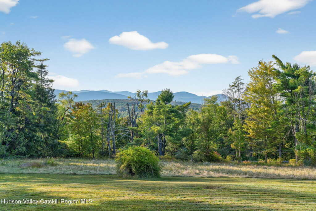 4701 Atwood Road, Stone Ridge, NY 12484 - Photo 37 of 41