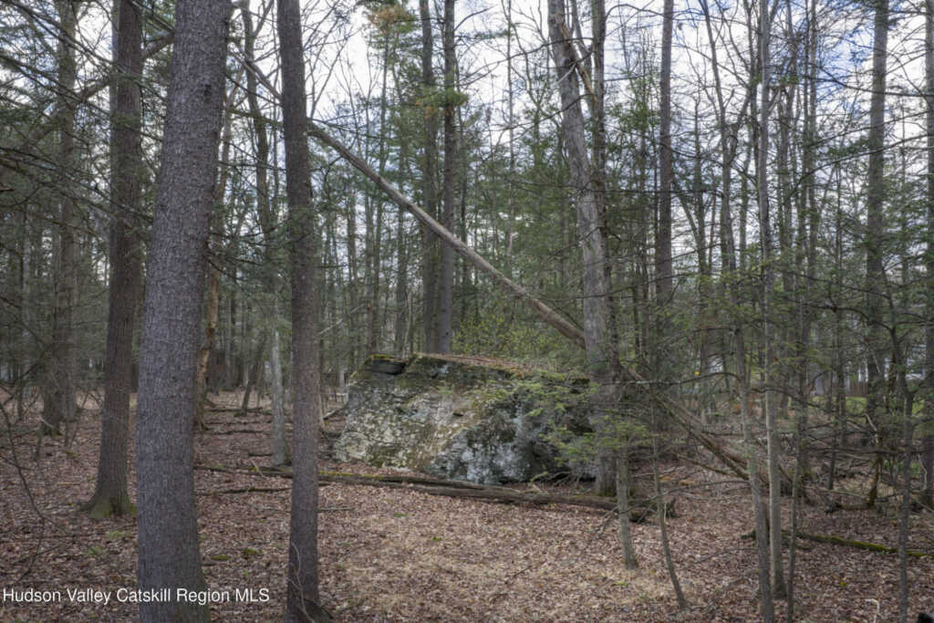 87 Witchtree Road, Woodstock, NY 12498 - Photo 19 of 20