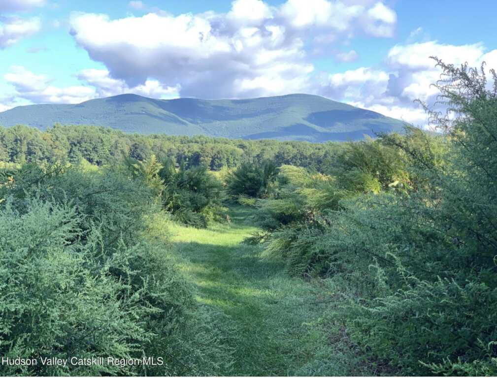 97 John Joy Road, Woodstock, NY 12498 - Photo 39 of 40