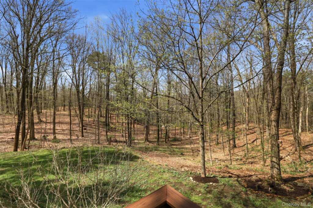 307 Old Kingston Road, New Paltz, NY 12561 - Photo 27 of 28