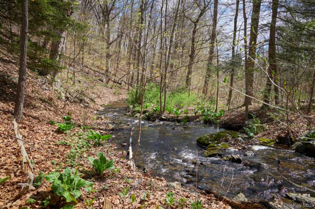 457 Round Lake Road, Rhinebeck, NY 12572 - Photo 25 of 26