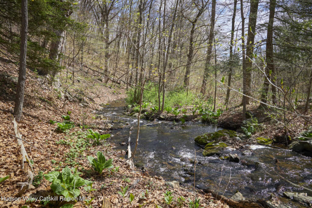 457 Round Lake Road, Rhinebeck, NY 12572 - Photo 25 of 30