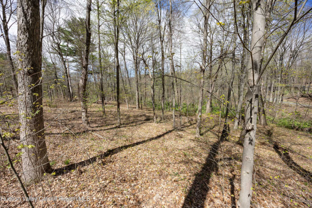 109 Hilltop Road, Rhinebeck, NY 12572 - Photo 24 of 26