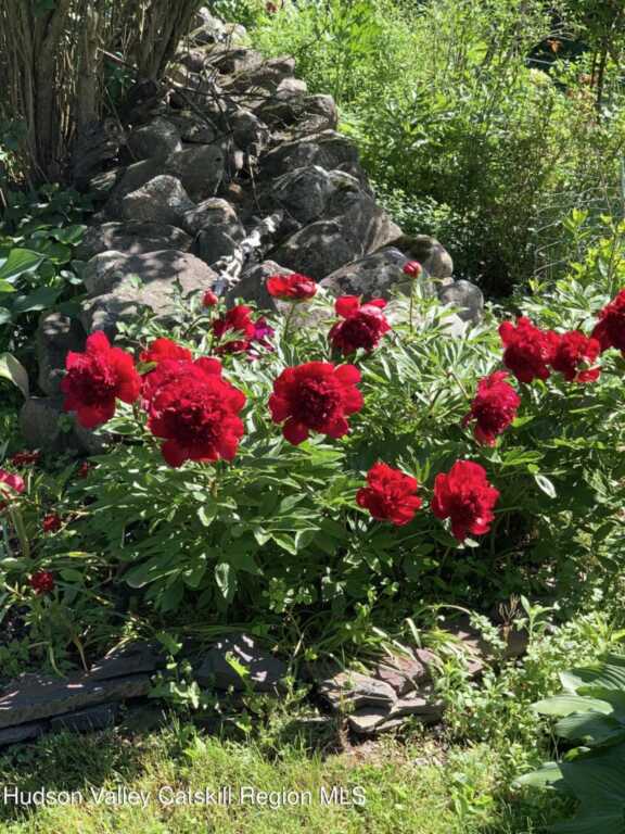 100 Shivertown Road, New Paltz, NY 12561 - Photo 50 of 50