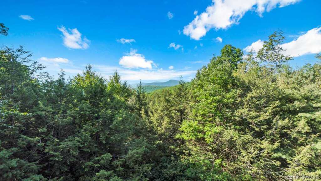 376 Abbey Road, Woodstock, NY 12457 - Photo 32 of 40