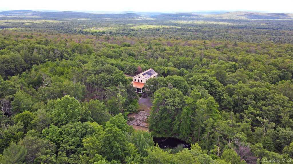21 Ori's View Drive, Saugerties, NY 12477 - Photo 42 of 46