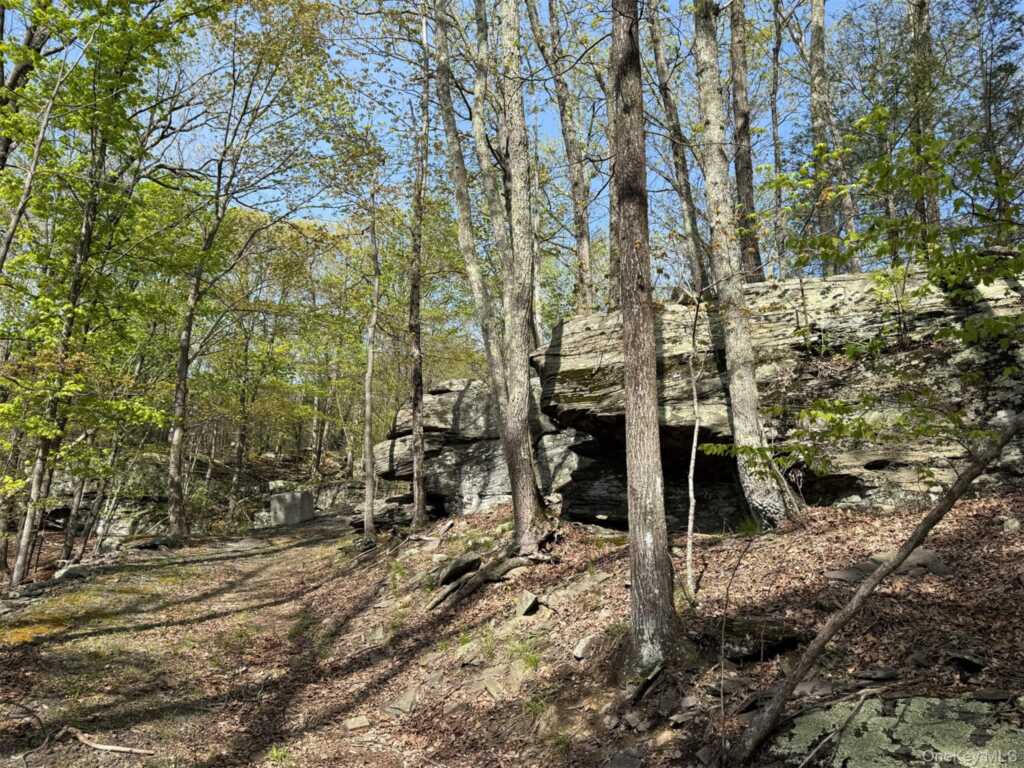 21 Ori's View Drive, Saugerties, NY 12477 - Photo 44 of 46