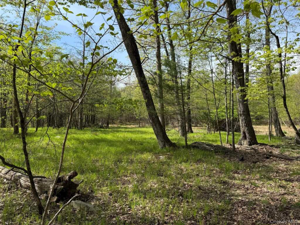 21 Ori's View Drive, Saugerties, NY 12477 - Photo 45 of 46