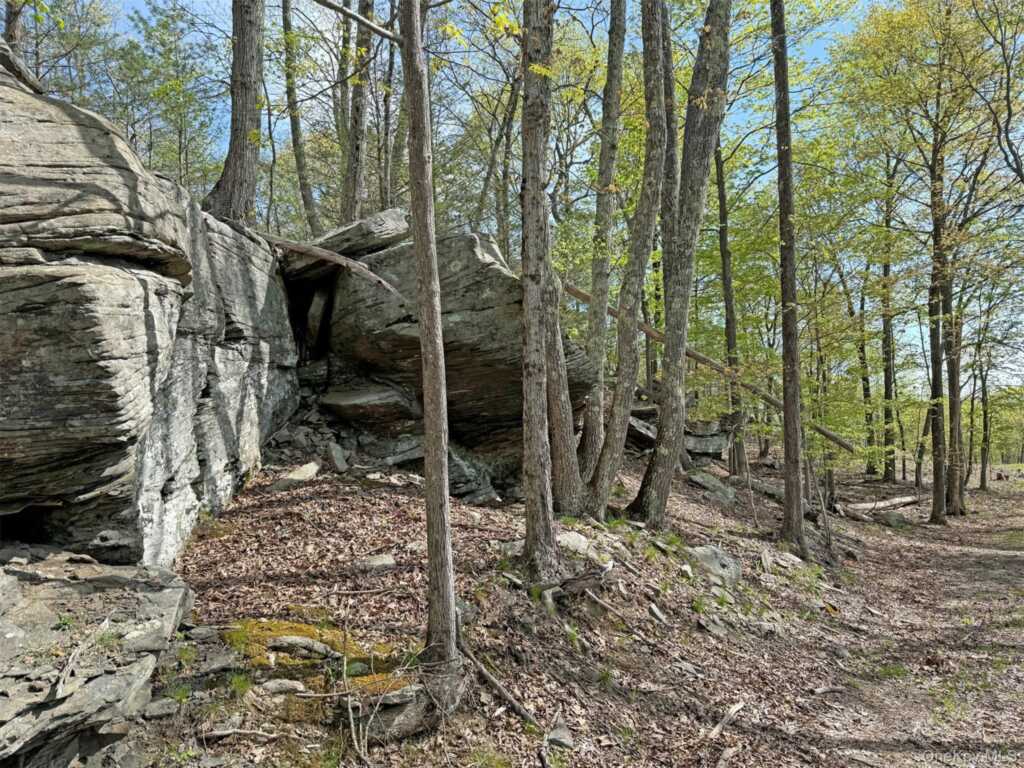 21 Ori's View Drive, Saugerties, NY 12477 - Photo 46 of 46