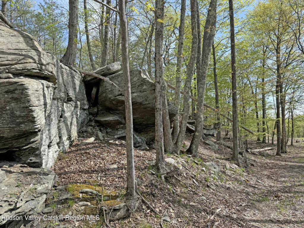 21 Ori'S View Drive, Saugerties, NY 12477 - Photo 41 of 43