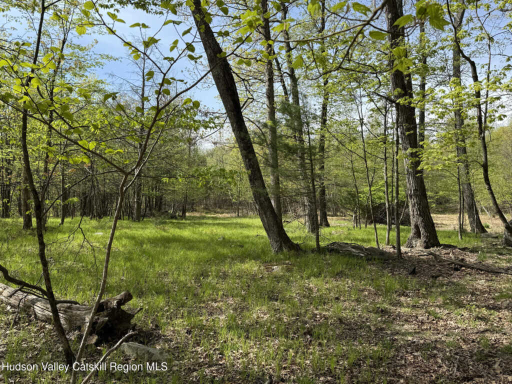 21 Ori'S View Drive, Saugerties, NY 12477 - Photo 42 of 43